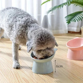 Alimentador elevado para animais de estimação para cães e gatos